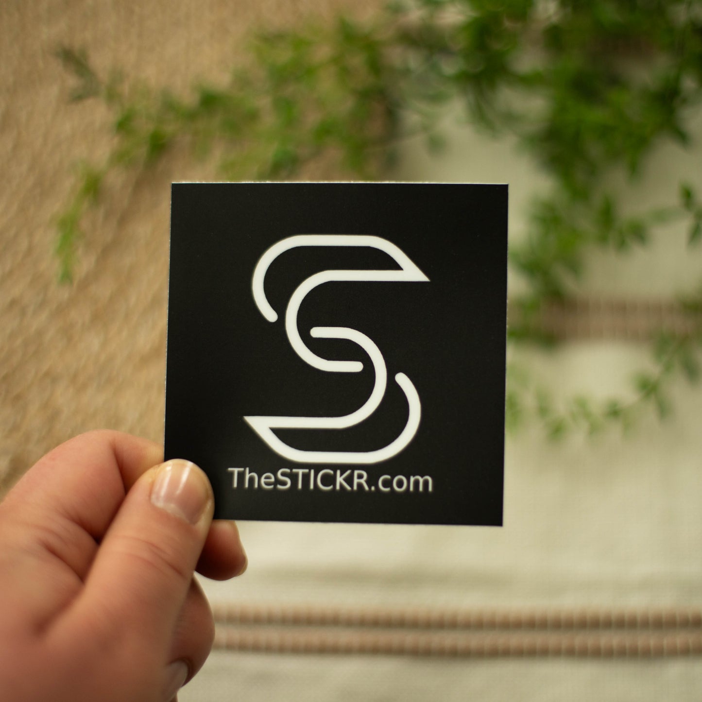 A hand holding a square-shaped vinyl sticker of the Stickr logo and website