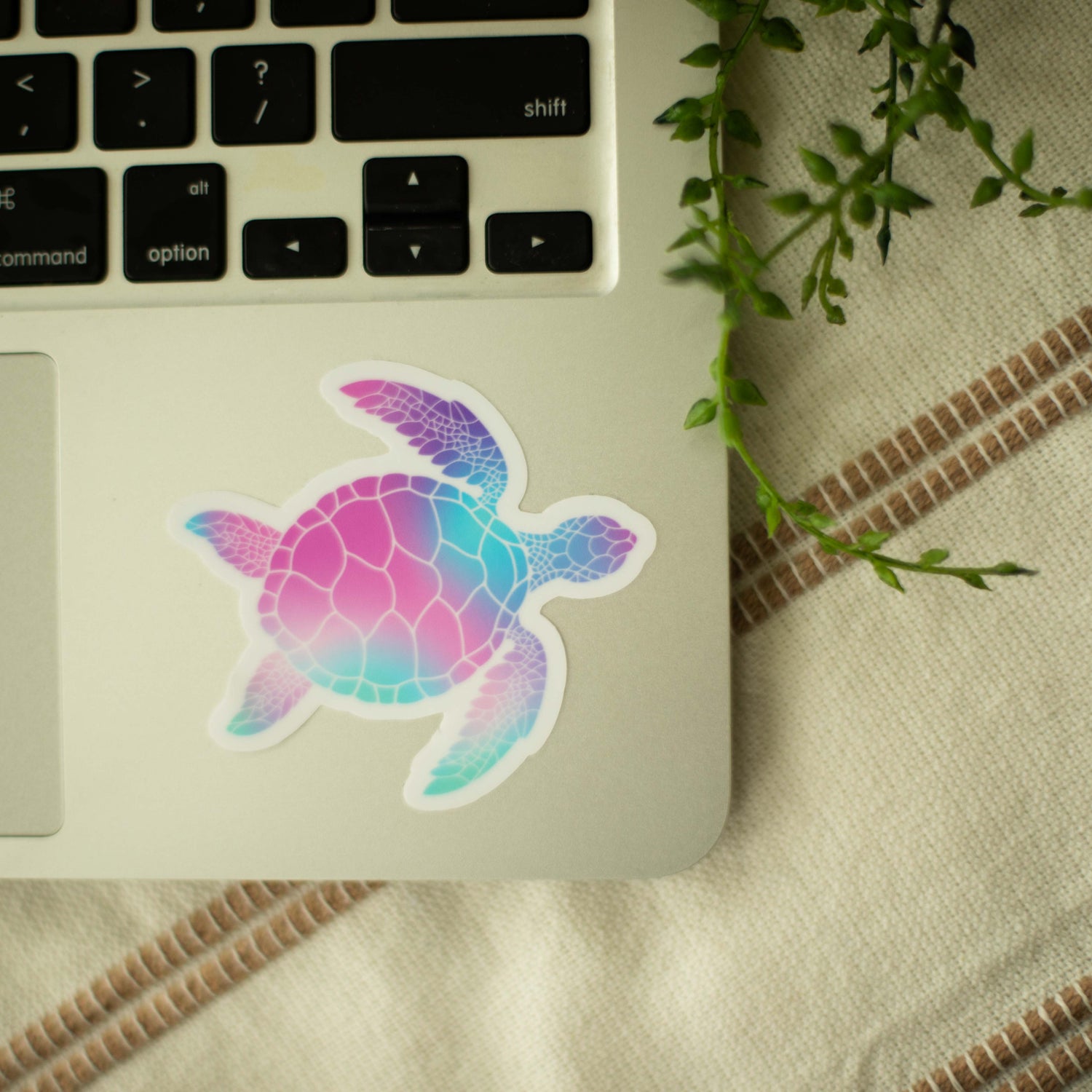 A vinyl sticker of a colorful turtle on a laptop